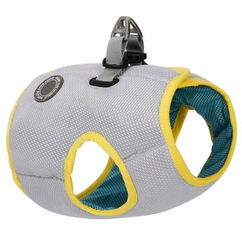 Everyday Dog Harness Set