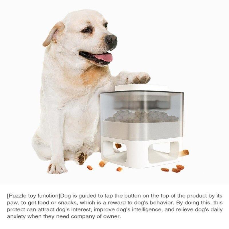 Dog Cat Feeding Bowls Dog Water Dispenser Eat Slow Dog Bowl Slow