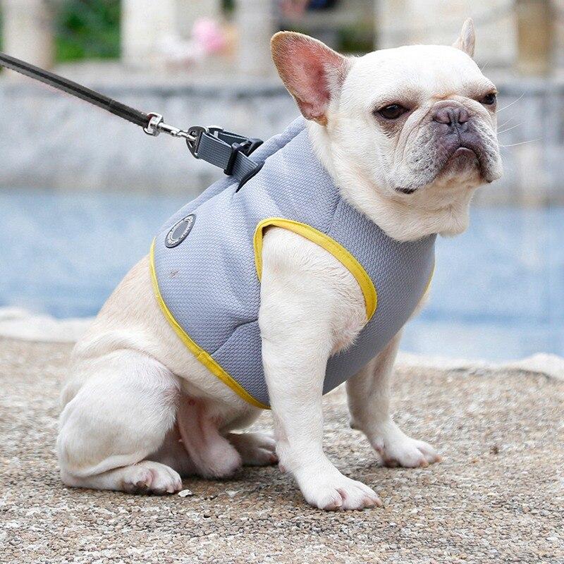 Everyday Dog Harness Set