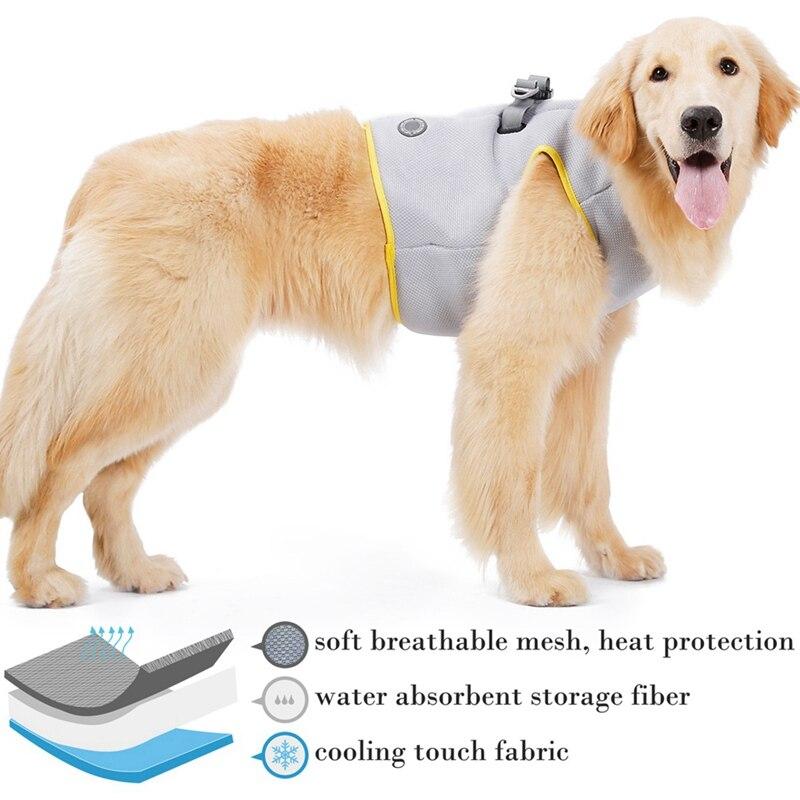 Everyday Dog Harness Set