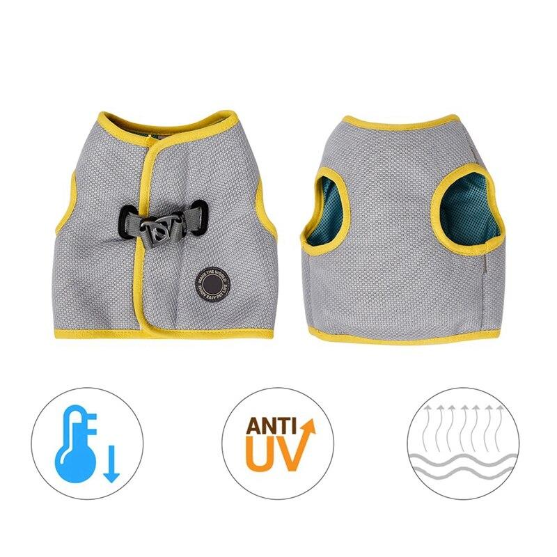 Everyday Dog Harness Set