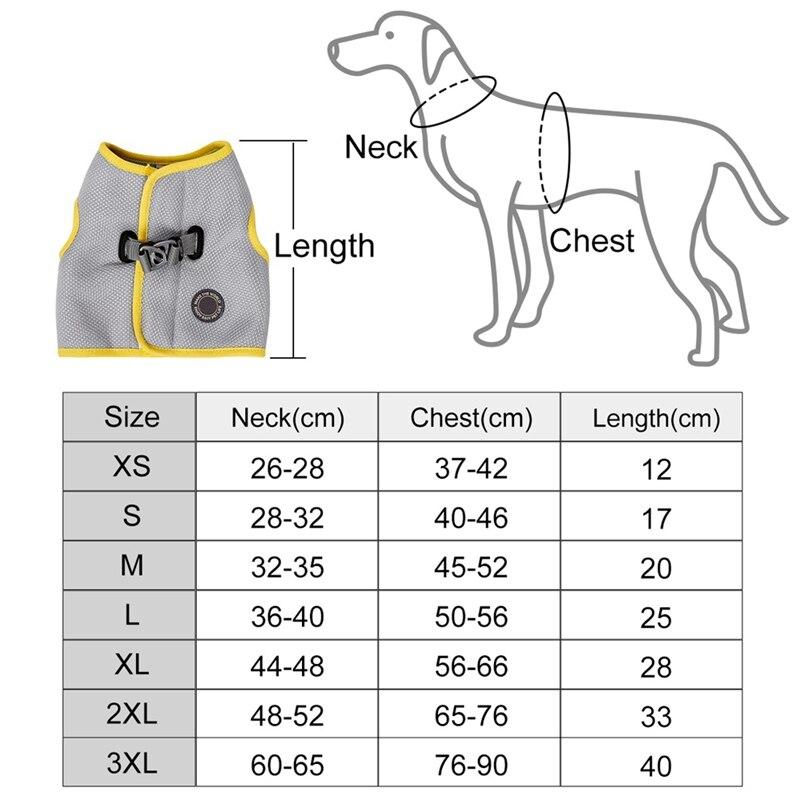 Everyday Dog Harness Set